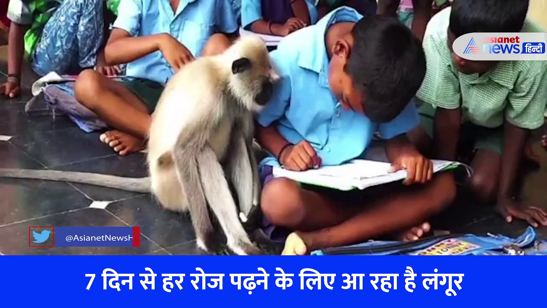 Video: 9वीं क्लास की पहली बैंच पर बैठक पढ़ता है लंगूर, ध्यान से सुनता है शिक्षक की बातें 