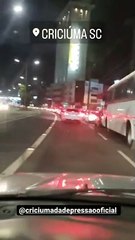 Cavalo é flagrado dentro de um ônibus em Santa Catarina