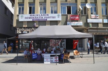 Tải video: Muş gündem: Muş'ta çocuklarını terör örgütünden kurtarmak isteyen aile sayısı 39'a yükseldi