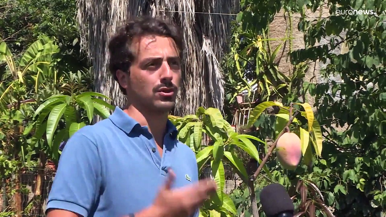 Италия: потепление меняет традиции