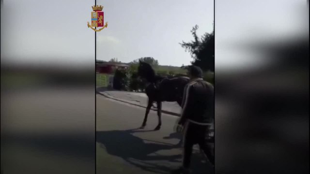 Frosinone: arresti per spaccio, estorsione e usura