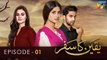 Yakeen Ka Safar - Episode 01 - [ HD ] - {  Sajal Ali - Ahad Raza Mir - Hira Mani } - FLO Digital Drama