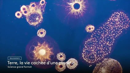 Terre, la vie cachée d’une planète - 15 septembre