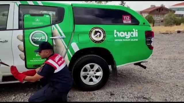 Aksaray gündem haberleri: Aksaray'da bulunan leylek tedavisinin ardından doğaya bırakıldı