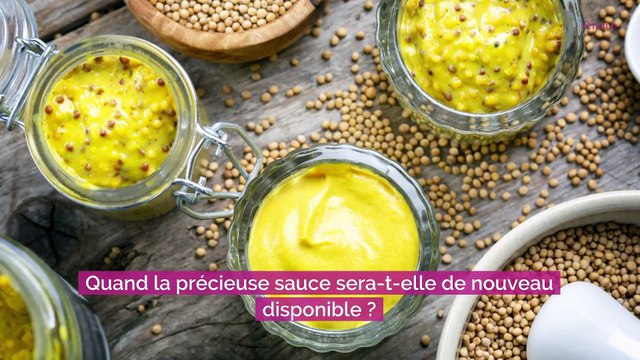 Pénurie de moutarde : voici sa date de retour dans les rayons des supermarchés et ce sera en 2022
