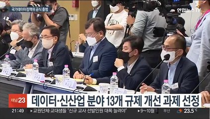 "민관이 데이터산업 낡은 규제 혁파"…국가데이터정책위 출범