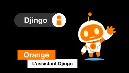 L’assistant Djingo - Orange