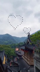 Nice sky Bird's activity