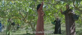 Sous les figues Bande-annonce VO