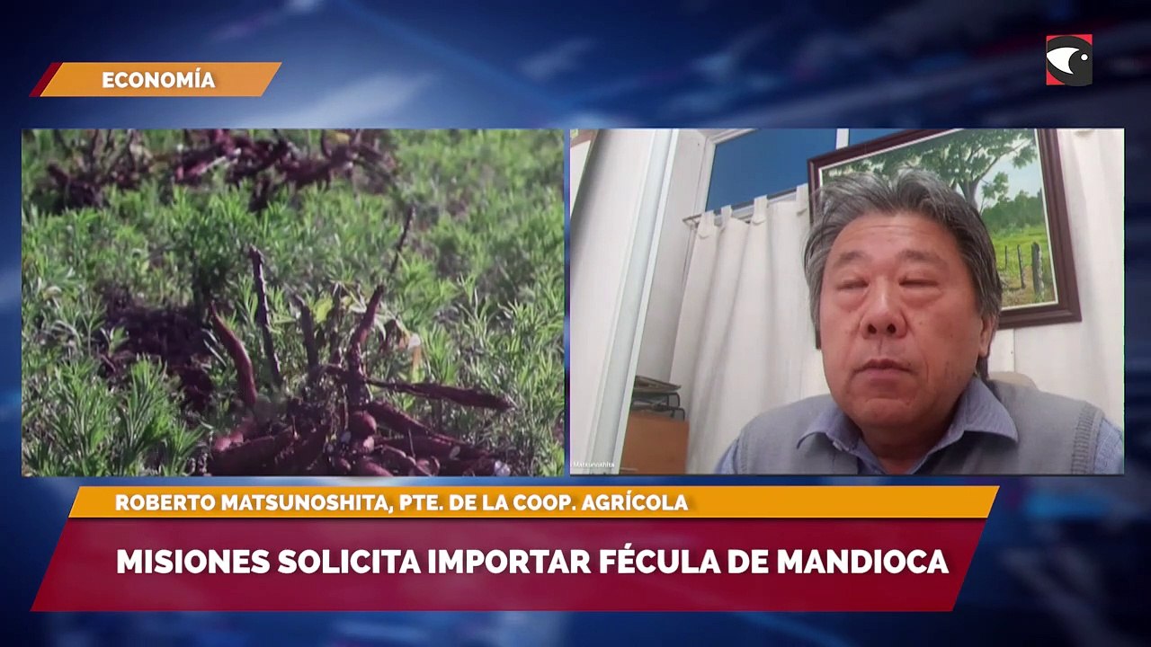 Misiones solicita importar fécula de mandioca