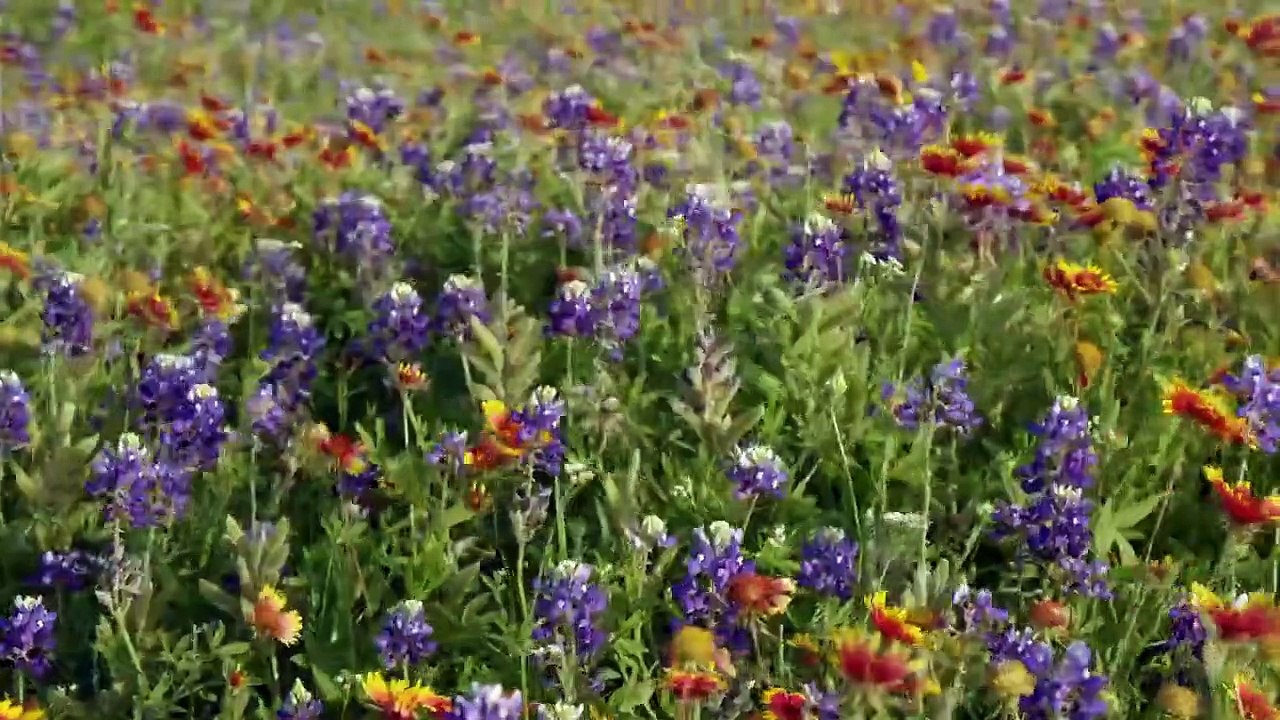 Die Wildnis der USA Vier Jahreszeiten Staffel 1 Folge 3 HD Deutsch