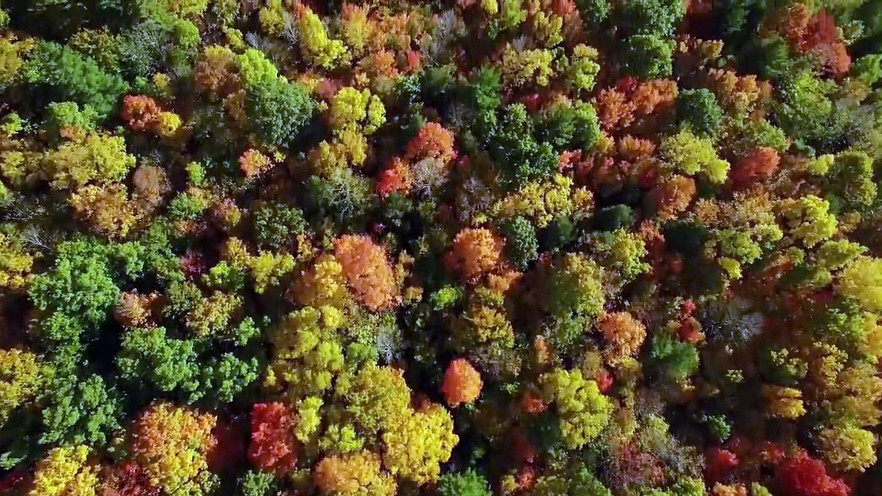 Die Wildnis der USA Vier Jahreszeiten Staffel 1 Folge 1 HD Deutsch