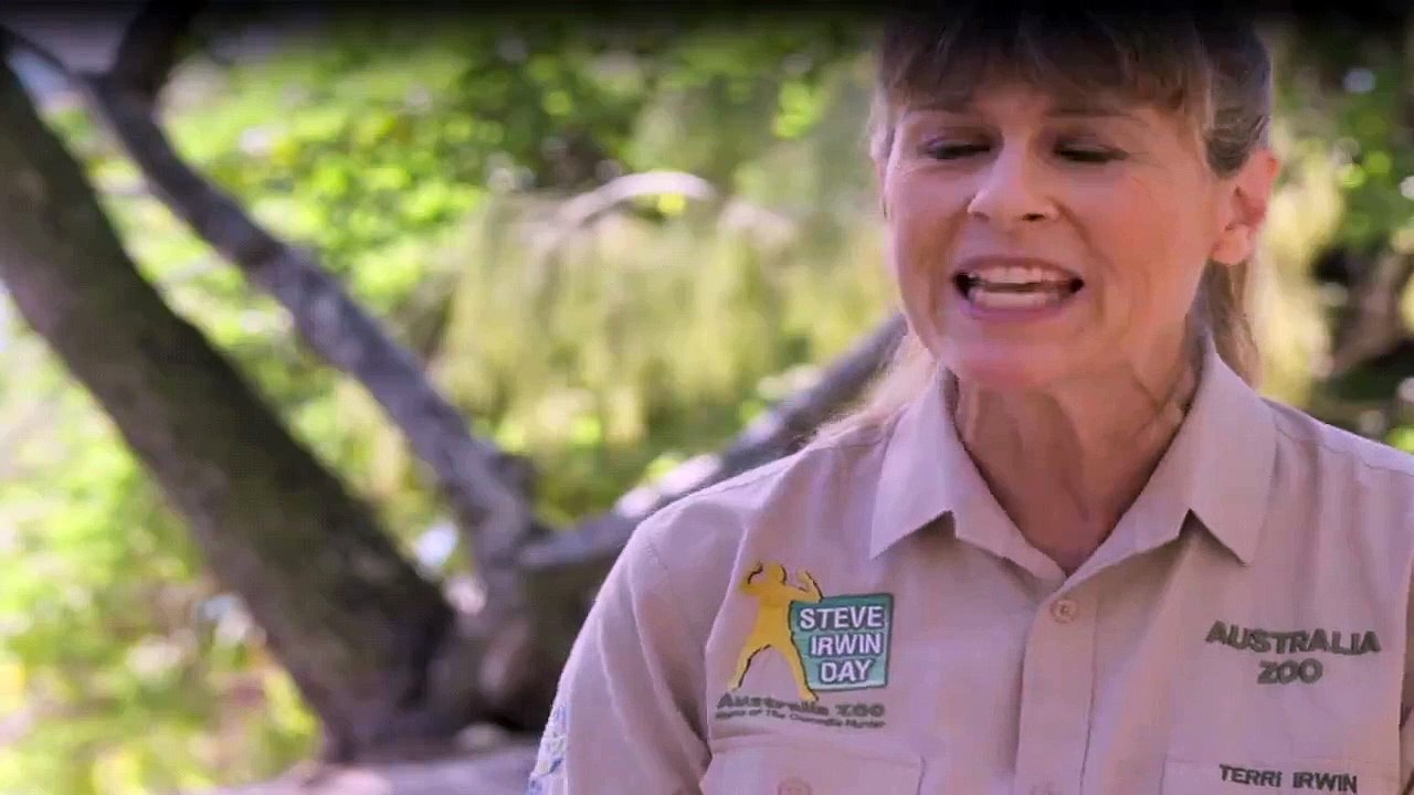 Die Irwins - Crocodile Hunter Family Staffel 1 Folge 11 HD Deutsch