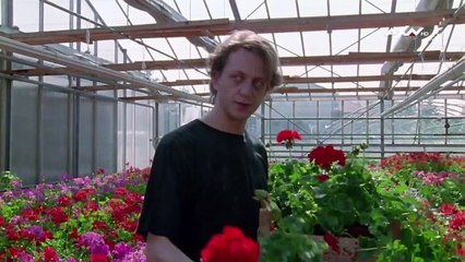 Kommissar Rex Staffel 3 Folge 5 HD Deutsch