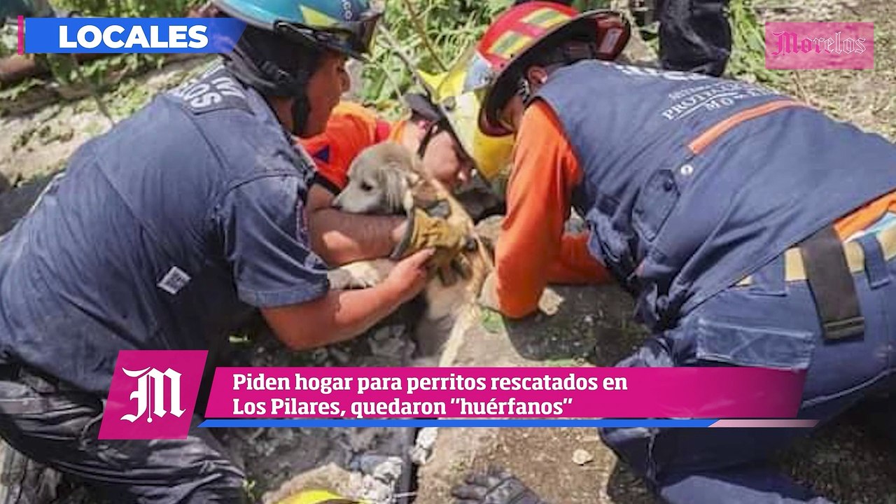 Aplicarán multas y corralón para autos que no cumplan con la verificación en Morelos, esto y mucho más en Diario de Morelos Informa