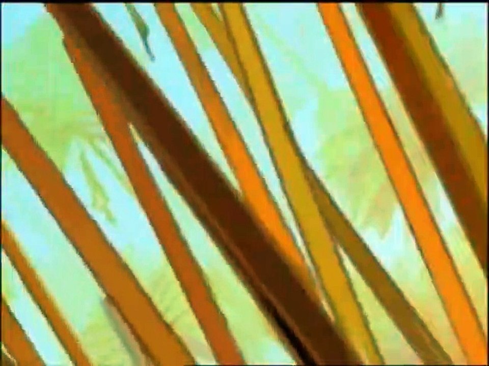 Papyrus Staffel 2 Folge 11 HD Deutsch