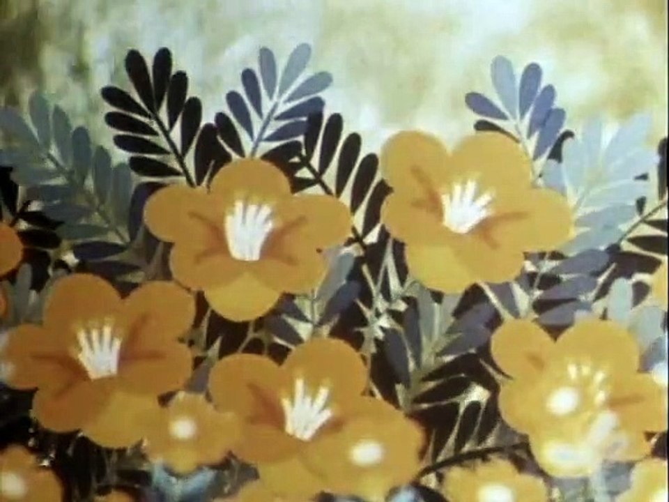 Tao Tao - Tiergeschichten aus aller Welt Staffel 1 Folge 30 HD Deutsch