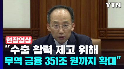 [현장영상+] "수출 활력 제고 위해 무역 금융 351조 원까지 확대" / YTN