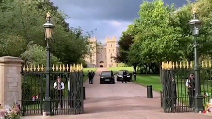 William's 'masterstroke' invitation to Harry questioned by Loose Women's Jane Moore