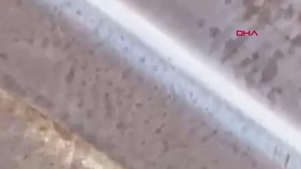 FISTIK BAHÇESİNDEKİ SİLAHLI SALDIRI KAMERADA