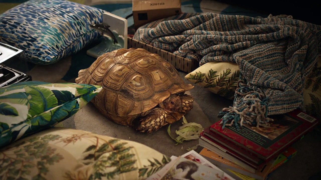 Brockmire Staffel 3 Folge 6 HD Deutsch