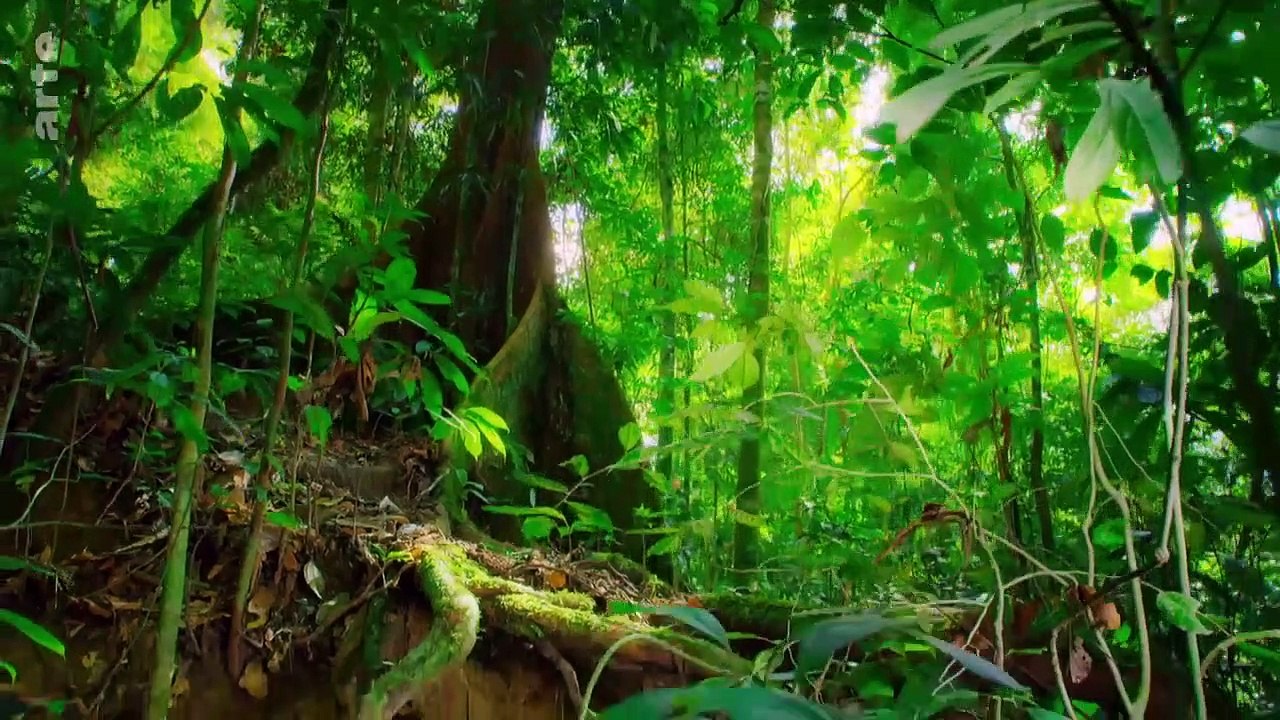 Eden auf Erden - Die letzten Paradiese Staffel 1 Folge 1 HD Deutsch