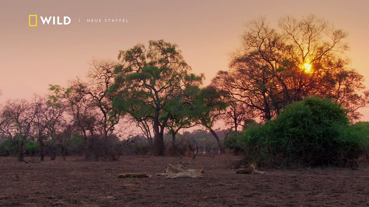 Afrikas Jäger Staffel 3 Folge 1 HD Deutsch