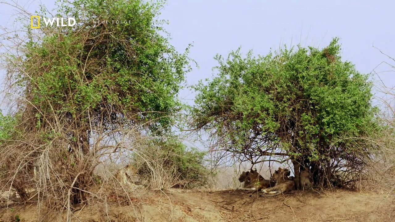 Afrikas Jäger Staffel 3 Folge 2 HD Deutsch