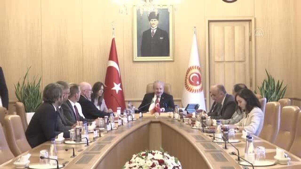 TBMM Başkanı Şentop, İrlanda Parlamentosu Dışişleri ve Savunma Ortak Komitesi Başkanı Flanagan'ı kabul etti