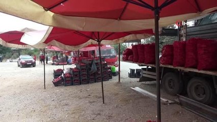 Salçalık biberin kilosu 12 TL'den 10 TL'ye düştü