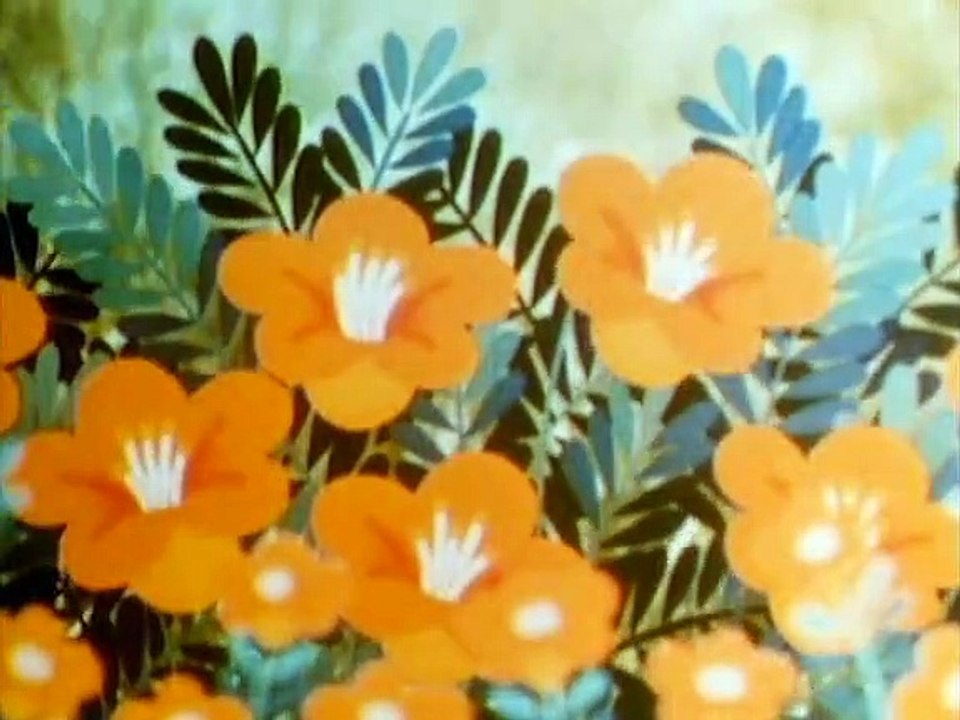 Tao Tao - Tiergeschichten aus aller Welt Staffel 1 Folge 15 HD Deutsch