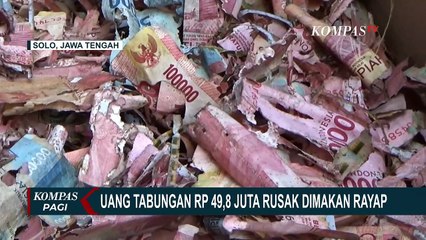 Ditabung untuk Haji bersama Keluarga, Uang Rp 49,8 Juta Rusak Dimakan Rayap!