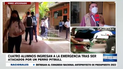 ¡Momentos de pánico! Pitbull de una alumna atacó a cuatro compañeros en una escuela de Copán