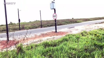 INSTALAÇÃO DE LOMBADA ELETRÔNICA PREJUDICA POPULAÇÃO DE PEDRAS DE FOGO