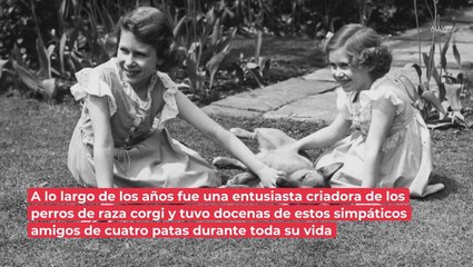 Скачать видео: ¡Ya tienen nuevo hogar! Esto pasará con los queridos corgis de la reina Isabel II