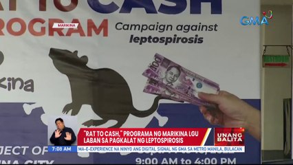 "Rat to cash", programa ng Marikina LGU laban sa pagkalat ng leptospirosis | UB