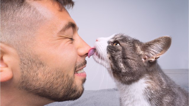 My cat is licking me. Does it think I need a bath?