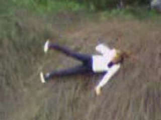 jackass