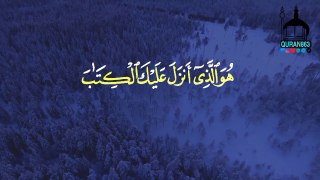 Surah Ale imran verses Number 7 Recitation - By Abdullah Al khalaf