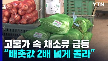 추석 지나도 물가 고공행진..."배춧값 2배 넘게 올라 김장 걱정" / YTN