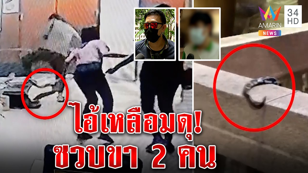 ระทึก งูเหลือมซวบขาจนท. 2 รายซ้อน หมอล็อตรู้ที่มา หลังตึกแหล่งแฝงตัว|ทุบโต๊ะข่าว|14/09/65