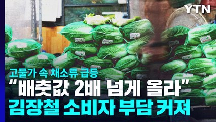 태풍 힌남노 탓에 배추 무르고 가격 올라..."다가오는 김장철 걱정" / YTN