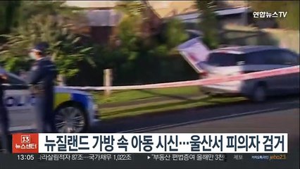 뉴질랜드 가방 속 아동 시신…울산서 피의자 검거