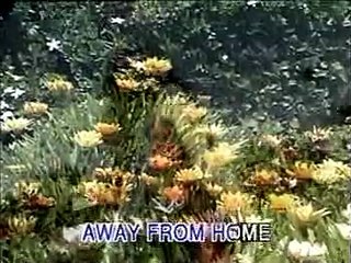 500 MILES AWAY FROM HOME /PETER PAUL AND MARY