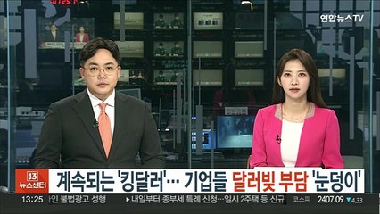 계속되는 '킹달러'… 기업들 달러빚 부담 '눈덩이'