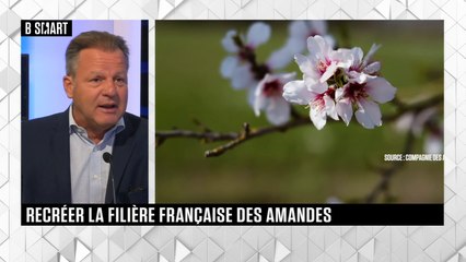 SMART IMPACT - L'invité de SMART IMPACT : François Moulias (Compagnie des Amandes)