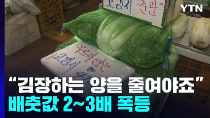 "김장하는 양을 줄여야죠"...배춧값 2~3배 폭등에 소비자 '근심' / YTN