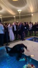 Cuando me preguntan por qué no tengo fotos de mi boda