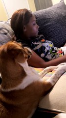 Pupper Dramatically Avoids Eye Contact