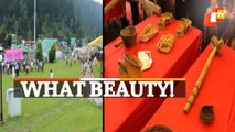 Falling In Love With Kashmir | Aharbal Mela Showcases Beauty